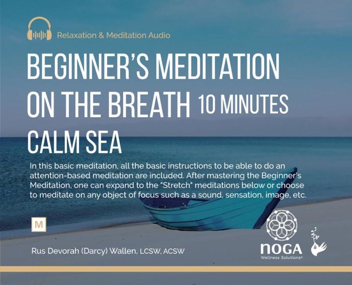 Meditations guided survive practice Meditations guided survive practice